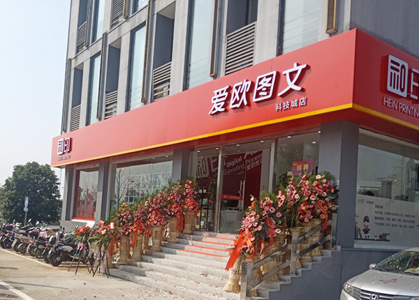 爱欧实力